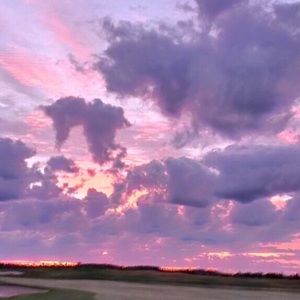 Meet your Posher, Jess